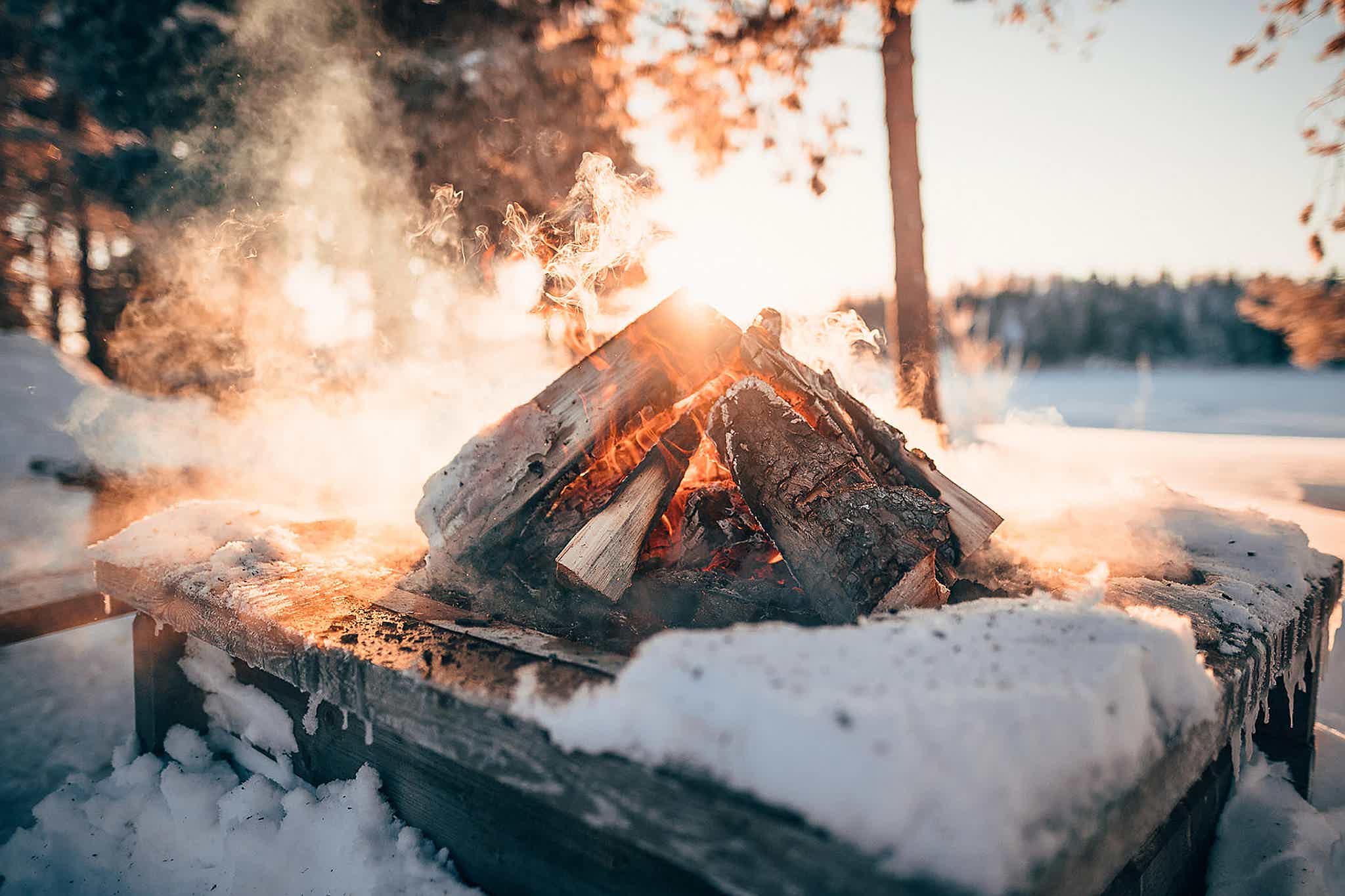 A campfire glows warmly in a snowy forest, surrounded by logs under a clear blue sky.