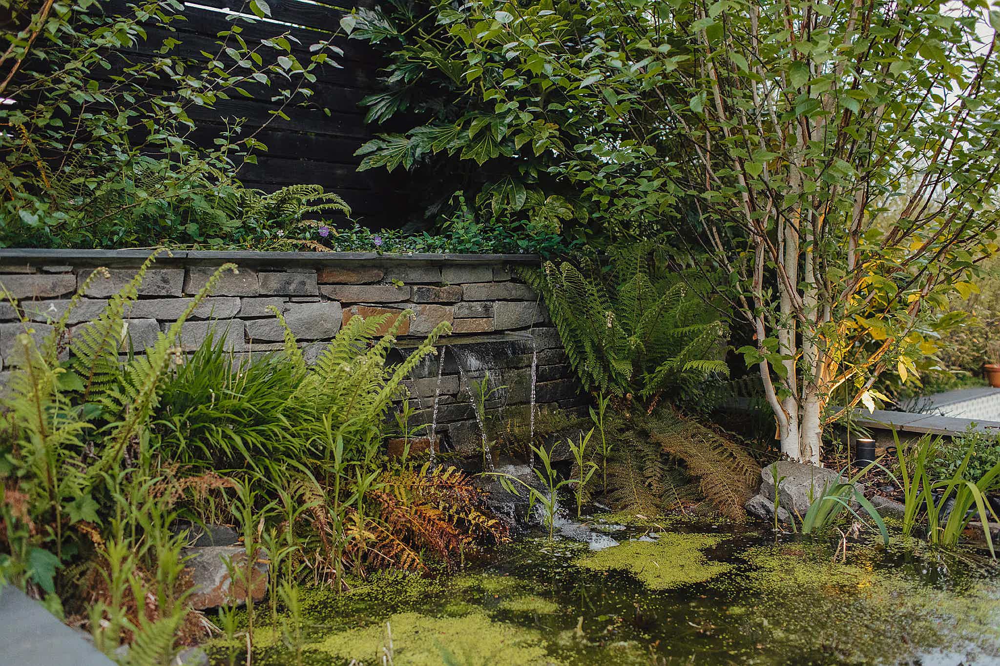 A serene garden with a pond and a stone wall, surrounded by lush greenery.