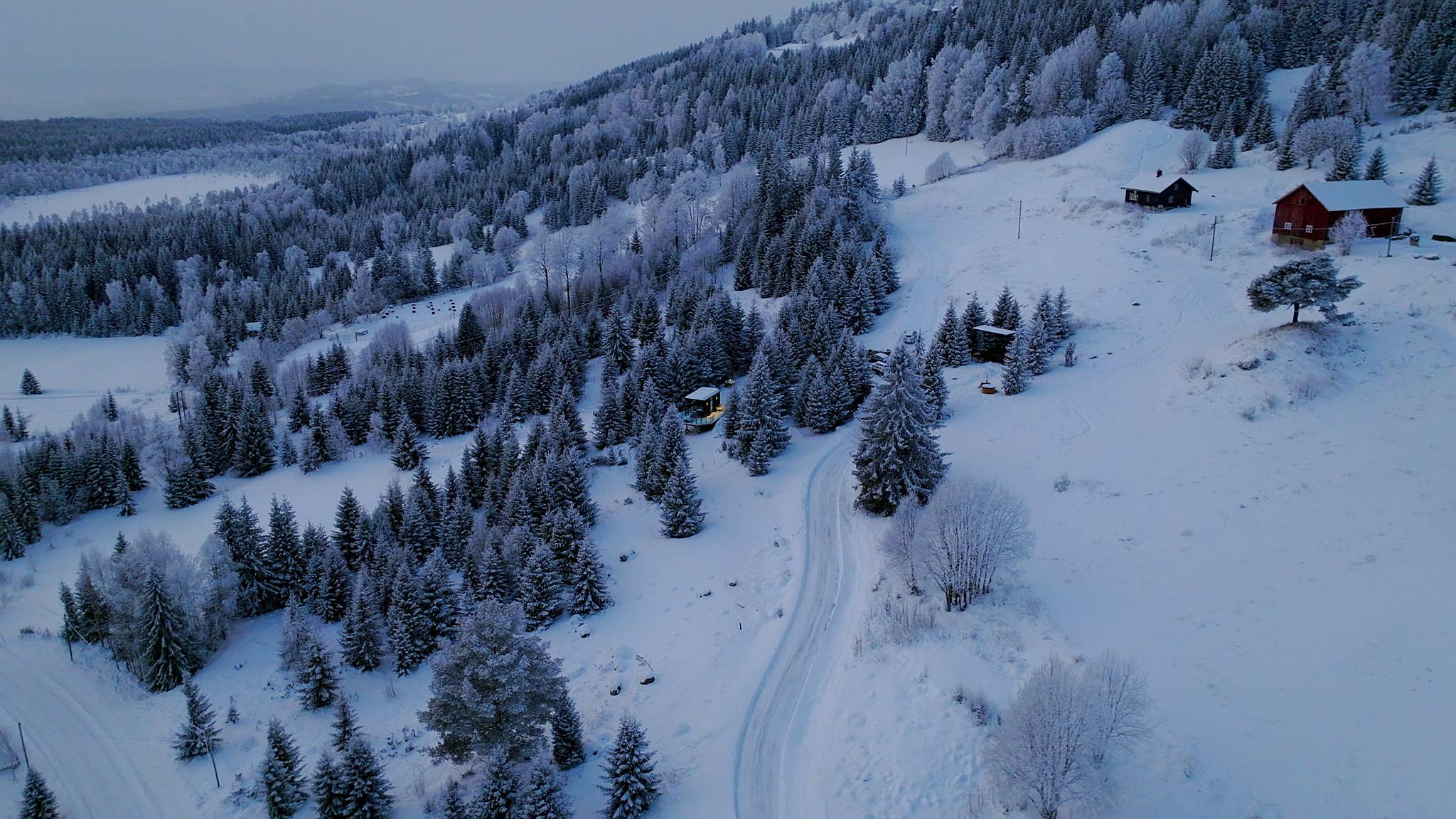 Aerial view of snowy forest with scattered trees and a winding road.